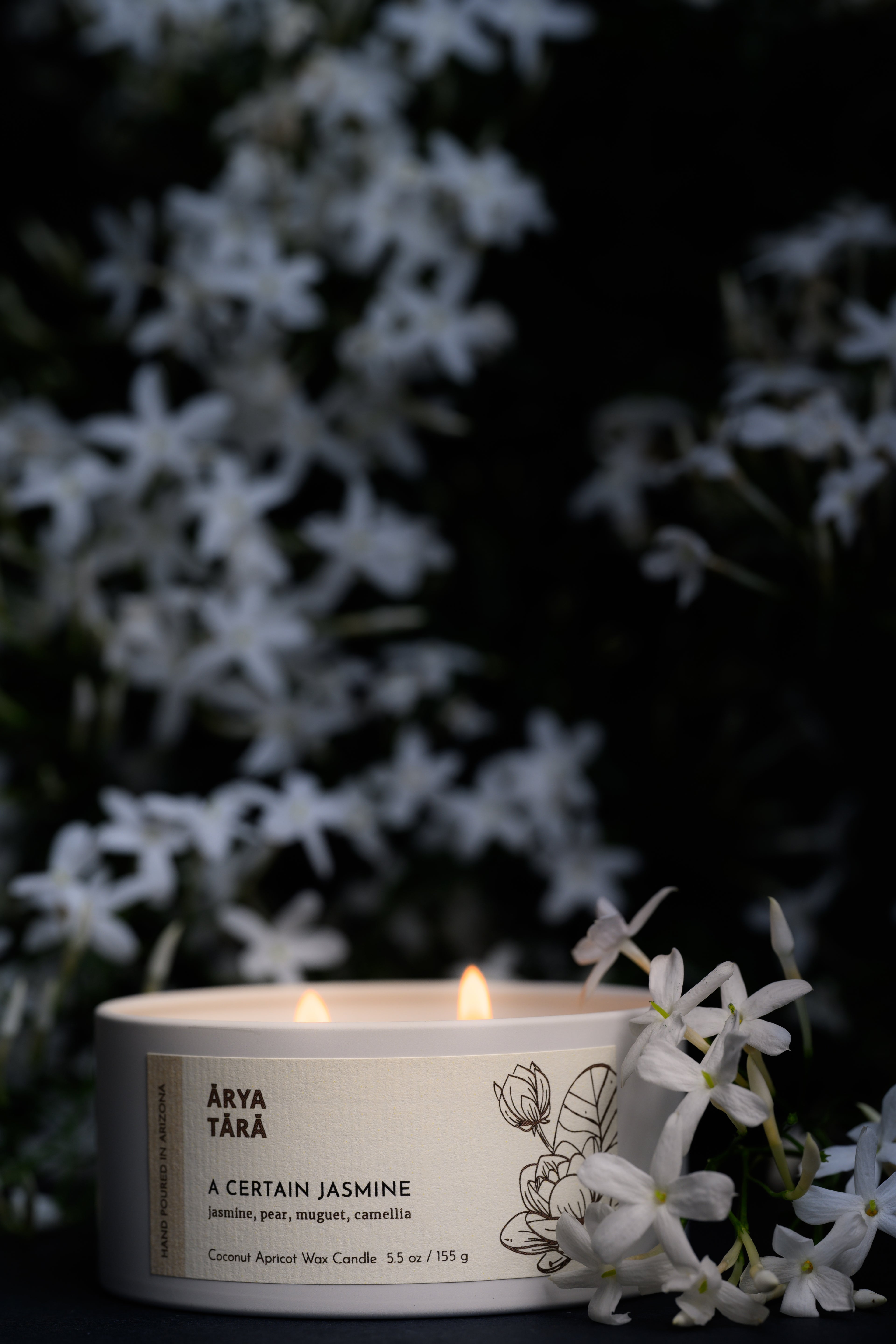 A Certain Jasmine Candle | Ivory Tin