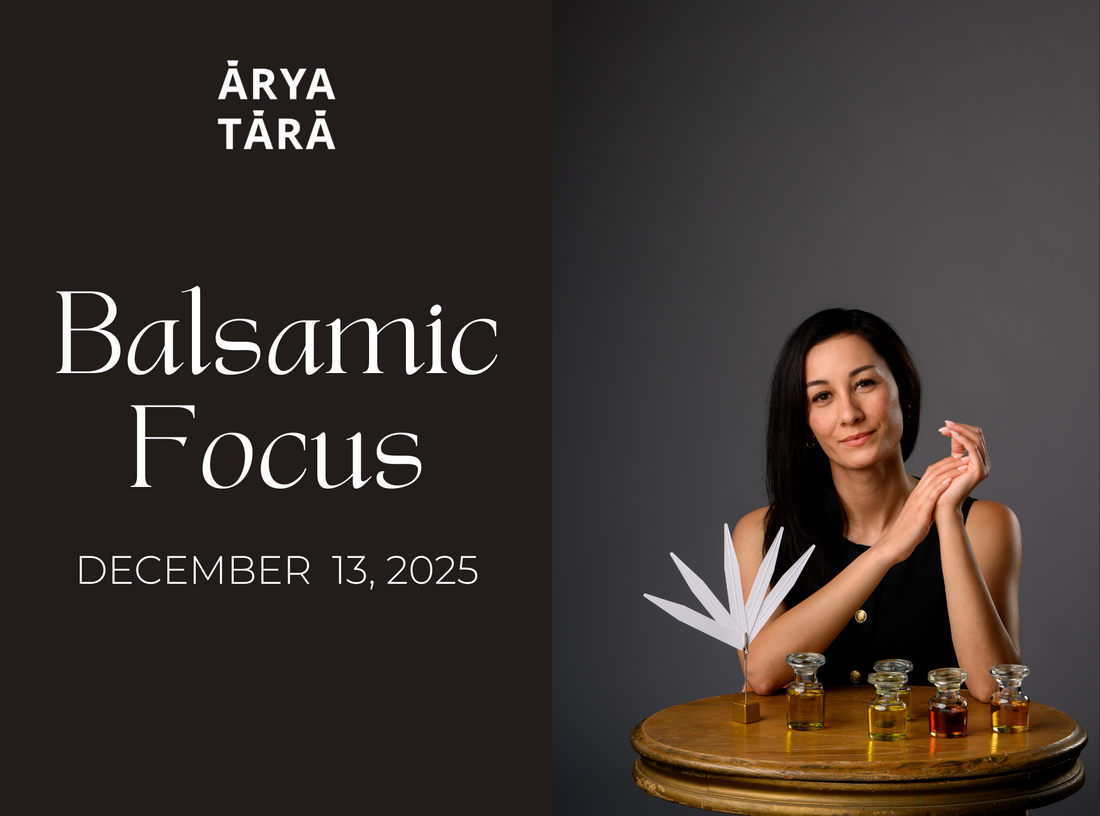 Balsamic Focus Workshop | December 13